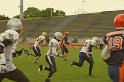 Les Corsaires Evry vs Les Gaulois de Sannois 517